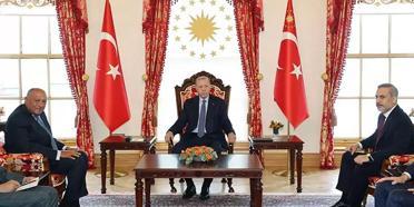 Erdoğan Mısır Dışişleri Bakanı Shoukry'i kabul etti