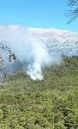 Antalyada orman yangını: Müdahale ediliyor