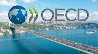 OECD, Türkiye 2025 büyüme tahminini açıkladı