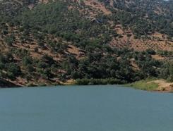 Kahramanmaraş'ta orman yangını