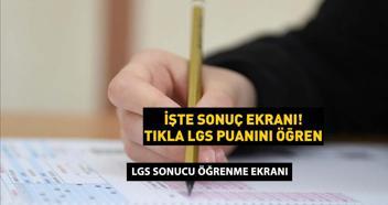 LGS SINAV SONUÇLARI 2025 SONUC.MEB.GOV.TR LGS sonuç sorgulama ekranı e-okuldan T.C no ile puanını öğren