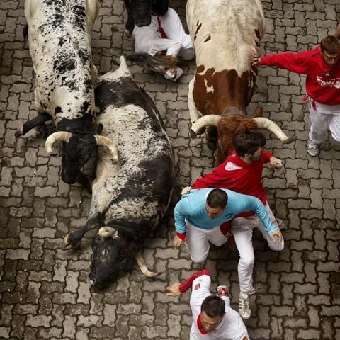 San Fermin festivali başladı