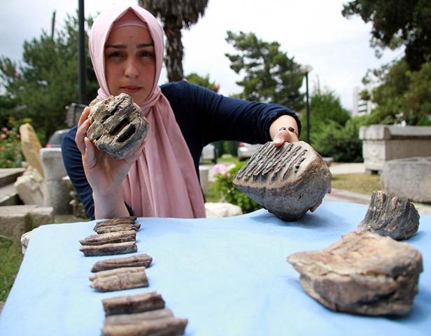 O mamut 2 milyon yaşında