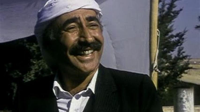 Türk sinemasının en iyi 10 filmi seçildi