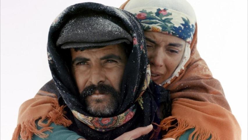 Türk sinemasının en iyi 10 filmi seçildi