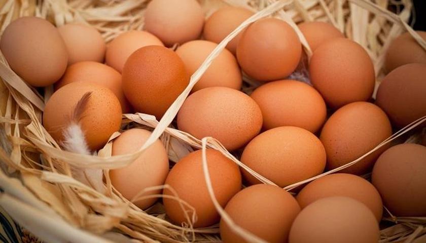 Avrupaya 6 yıl sonra yumurta ihracatı