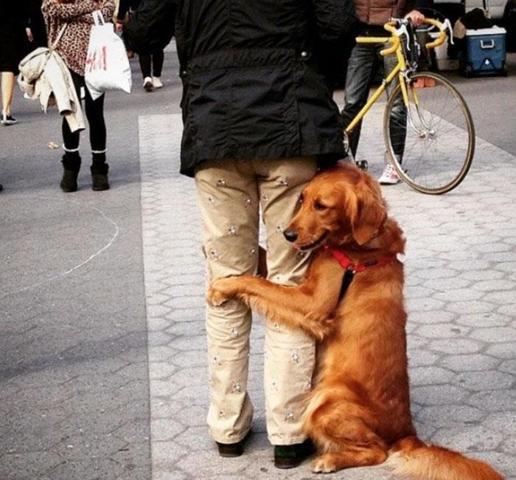 Dünyanın en sevgi dolu köpeğiyle tanışın