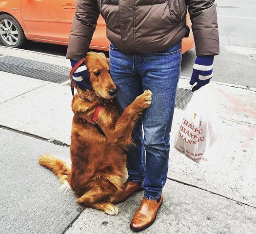 Dünyanın en sevgi dolu köpeğiyle tanışın