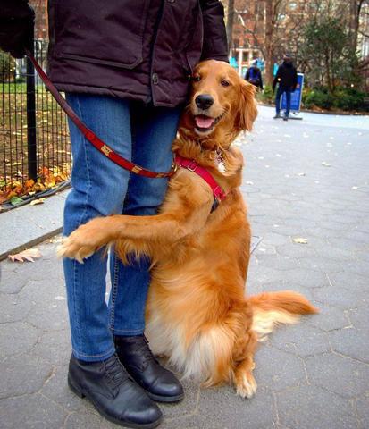 Dünyanın en sevgi dolu köpeğiyle tanışın