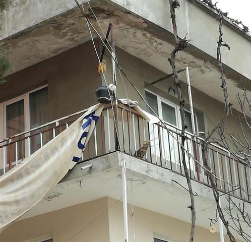 Balkonda mahsur kalan kedi için seferberlik