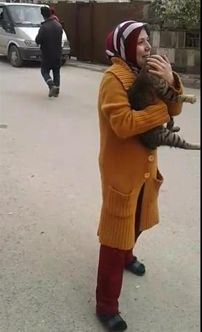 Balkonda mahsur kalan kedi için seferberlik