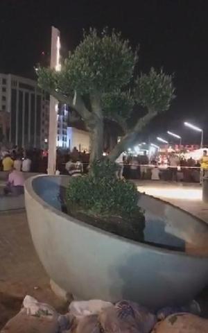 Taksimde ağaçlandırma çalışmaları tamamlandı