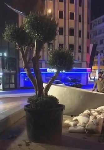 Taksimde ağaçlandırma çalışmaları tamamlandı