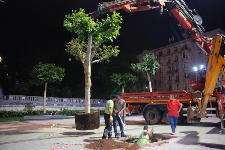 Taksimde ağaçlandırma çalışmaları tamamlandı