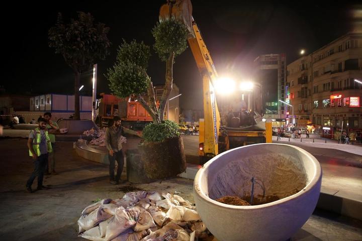 Taksimde ağaçlandırma çalışmaları tamamlandı