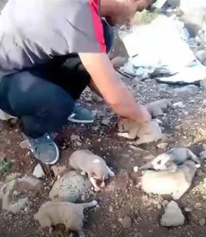 İdil’de kan donduran vahşet