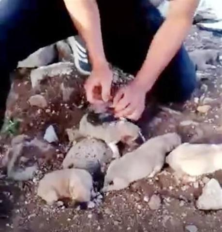 İdil’de kan donduran vahşet