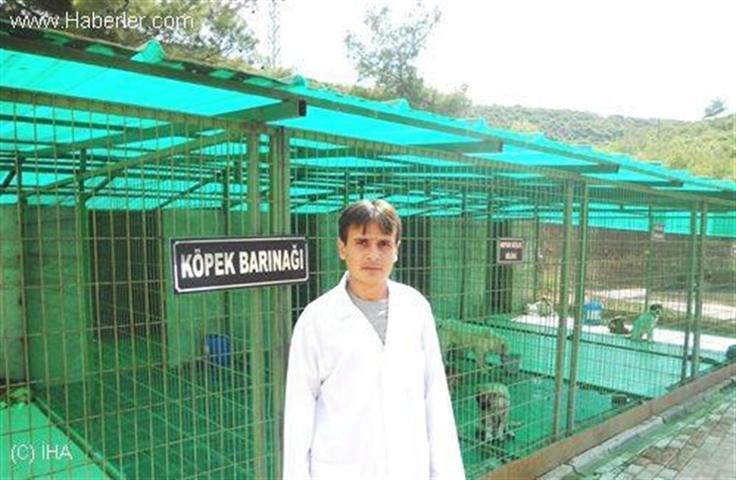 Yasaklı diye teslim ettiği köpeğini barınaktan kaçırdı