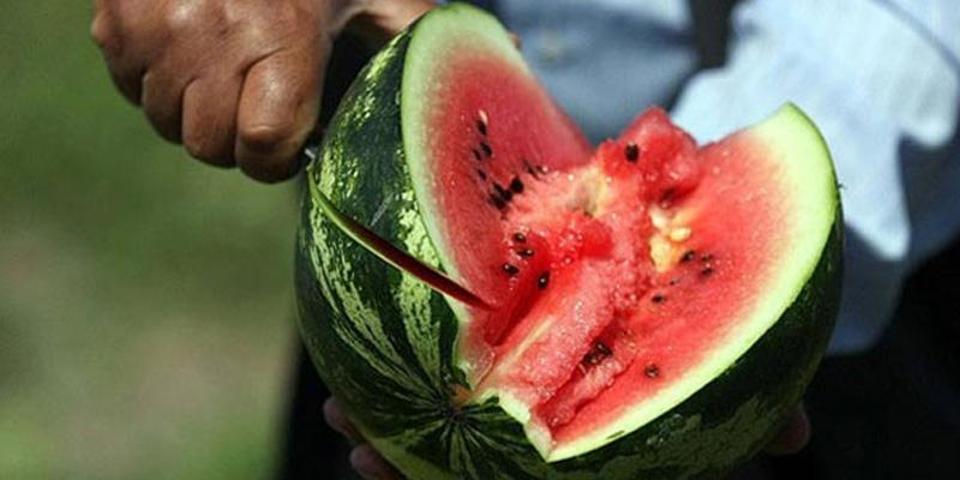 Karpuz artık ambalajıyla satılacak