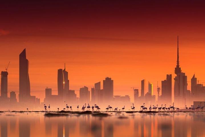 Pembe ve asil: Dünya Flamingo Günü