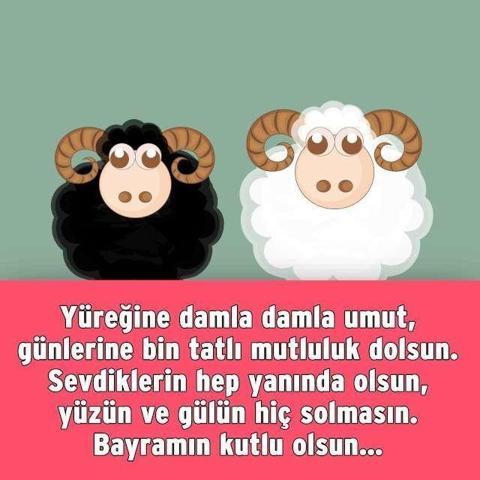 Anlamlı Şeker Bayramı mesajları: kısa, farklı, resimli mesajlar ve Ramazan Bayramı kutlama mesajları