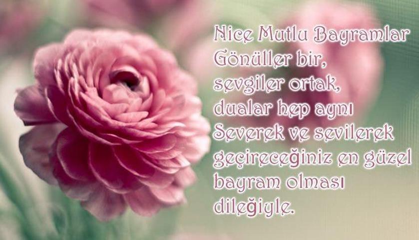 Anlamlı Şeker Bayramı mesajları: kısa, farklı, resimli mesajlar ve Ramazan Bayramı kutlama mesajları