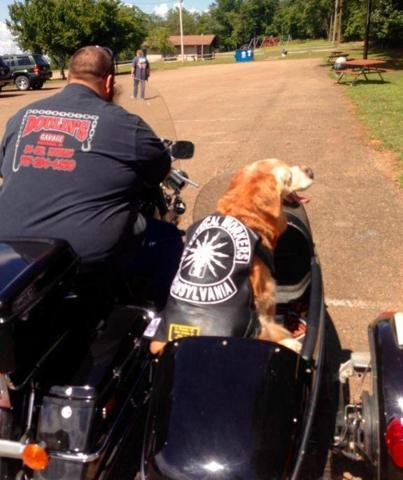 Sebebi iç burkuyor... Bu adam köpeğini evlendirdi
