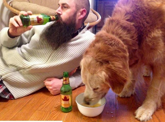 Sebebi iç burkuyor... Bu adam köpeğini evlendirdi