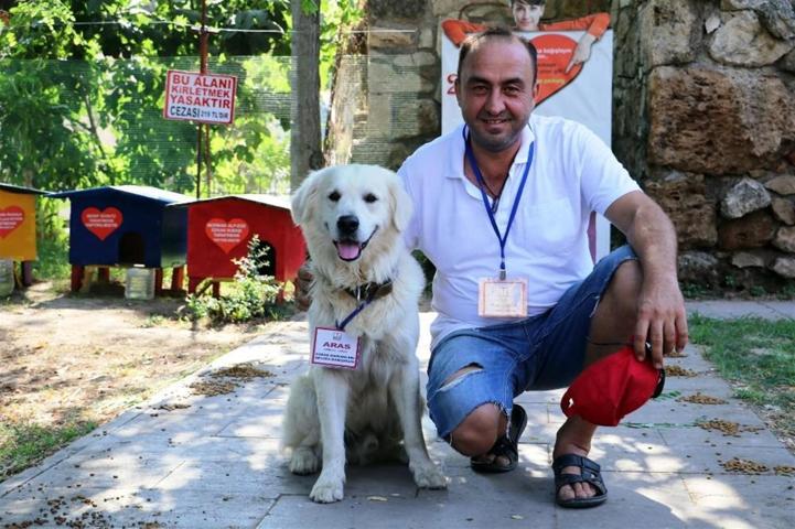 İzmirin turizm elçisi kedilerini Aras koruyor