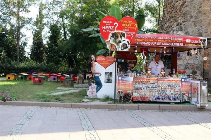 İzmirin turizm elçisi kedilerini Aras koruyor
