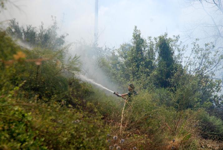 Antalya Sidede korkutan yangın