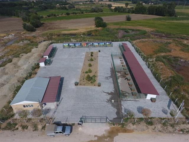 Suluova’da 400 sokak hayvanını ağırlayacak barınak açıldı