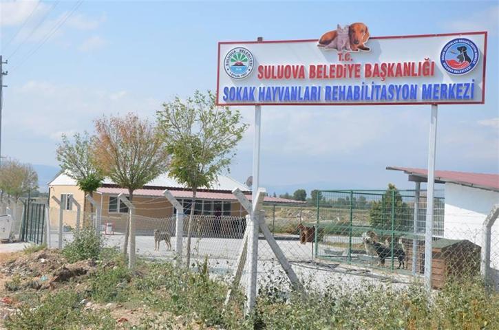 Suluova’da 400 sokak hayvanını ağırlayacak barınak açıldı