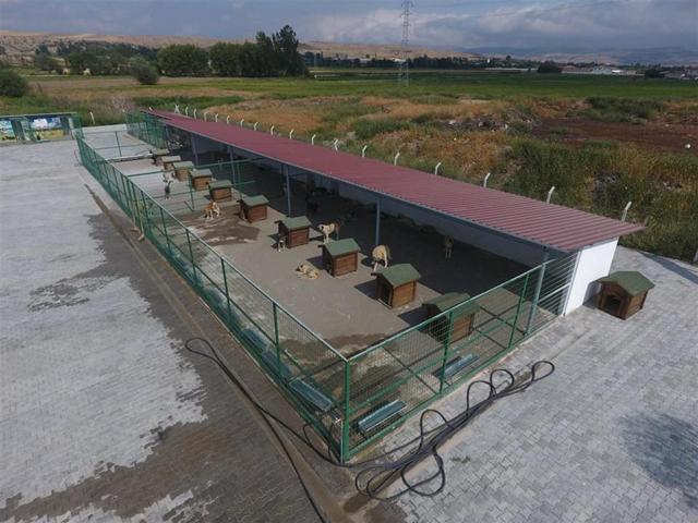 Suluova’da 400 sokak hayvanını ağırlayacak barınak açıldı