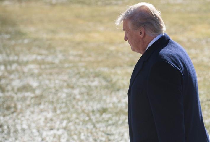 Trumpa ilginç benzetme Topal bir ördek görüntüsü var
