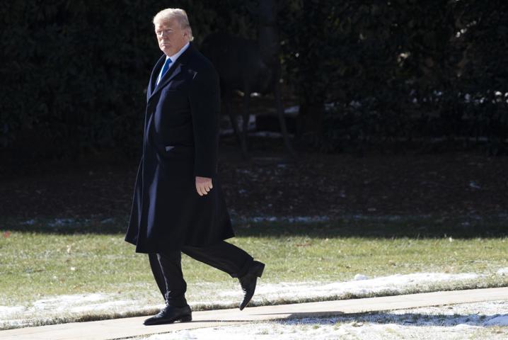 Trumpa ilginç benzetme Topal bir ördek görüntüsü var