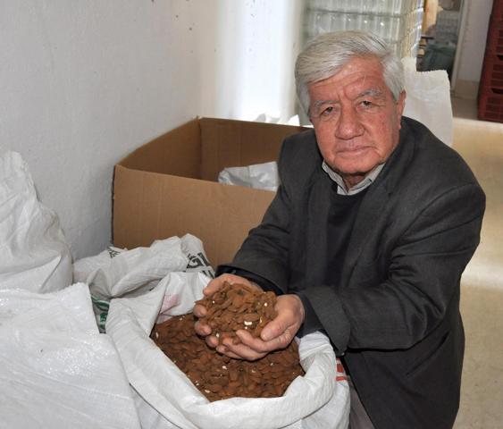 Cevizde büyük sahtekarlık
