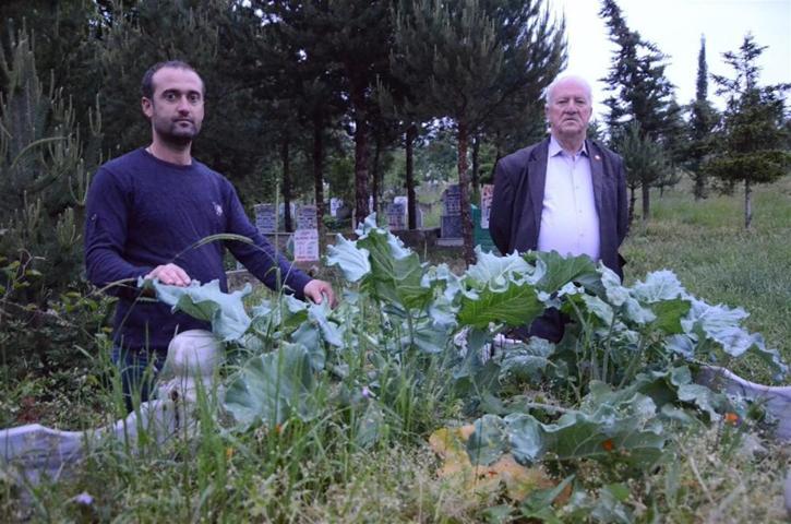 Karadenizlinin mizahı: Ölüm bile karalahanadan ayıramadı