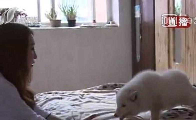 Köpek diye aldı bakın ne çıktı