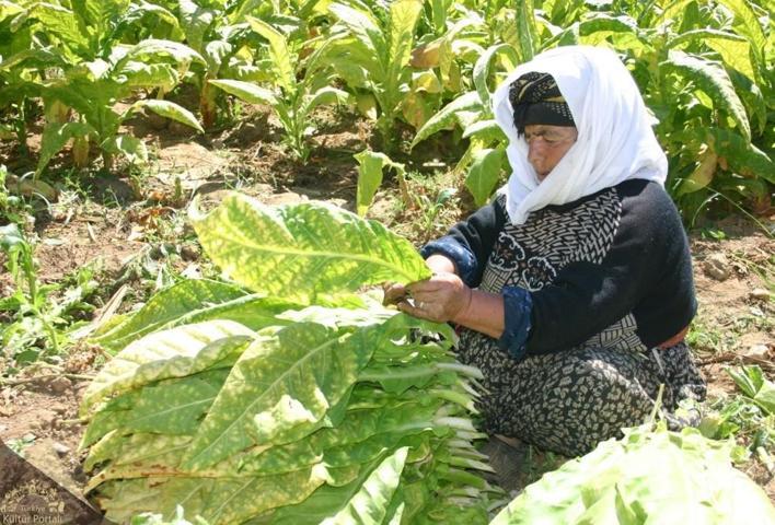 Türkiyede markalaşan coğrafi işaretli ve geleneksel ürünler