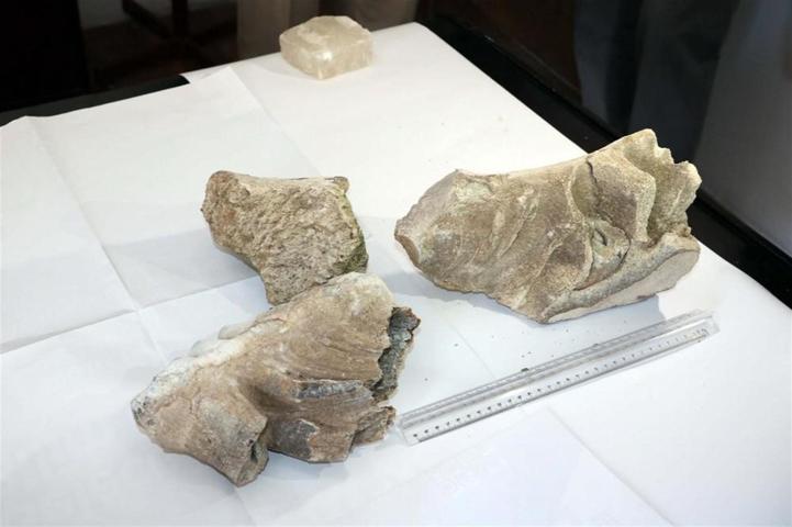 Yozgatta tarla süren çiftçi 9 milyon yıllık ’mamut’ fosili buldu