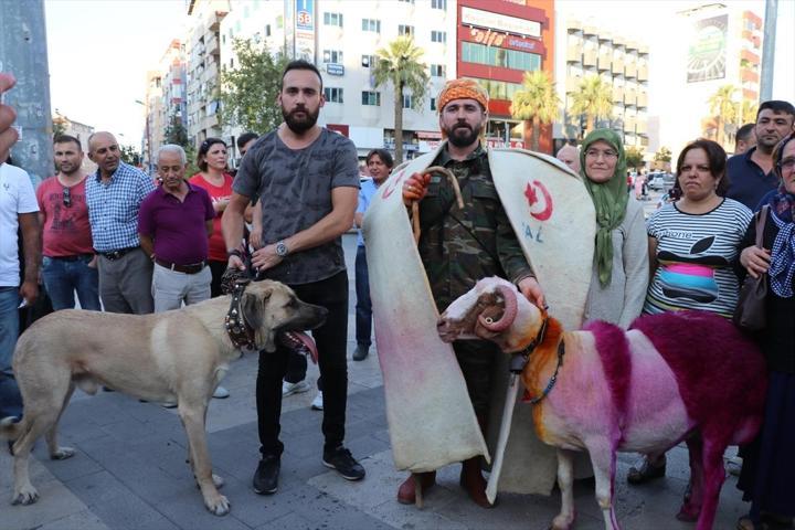 İspanya boğa güreşlerinin alternatifi: Sudan Koyun Geçirme