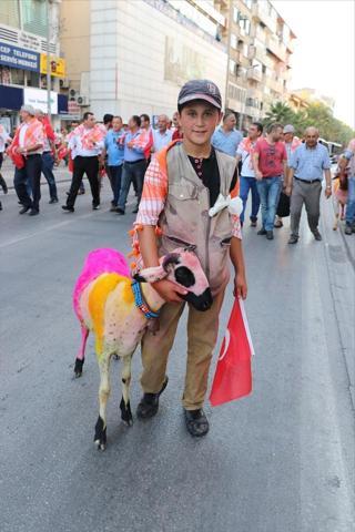 İspanya boğa güreşlerinin alternatifi: Sudan Koyun Geçirme