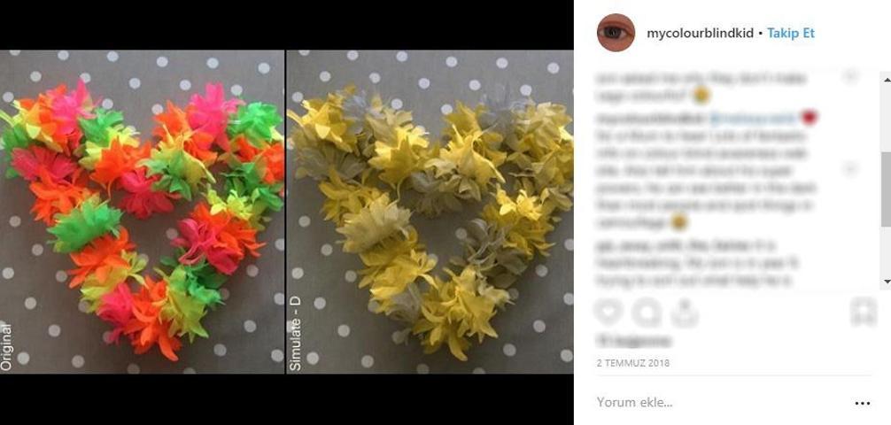 Renk körü insanlar dünyayı nasıl görüyor