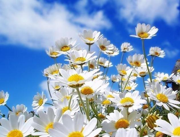 Kadınlar günü mesajları 2019: En yeni resimli 8 Mart kutlama mesajları