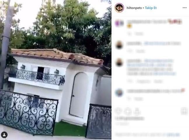 Paris Hiltonun köpekleri malikanede yaşıyor