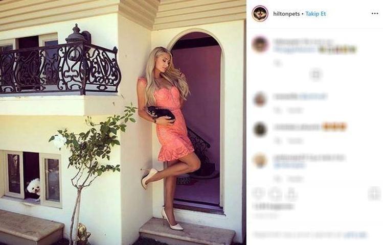 Paris Hiltonun köpekleri malikanede yaşıyor
