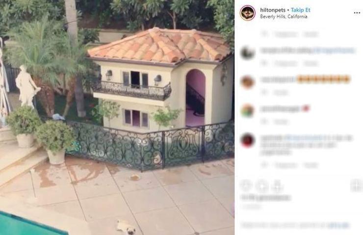 Paris Hiltonun köpekleri malikanede yaşıyor