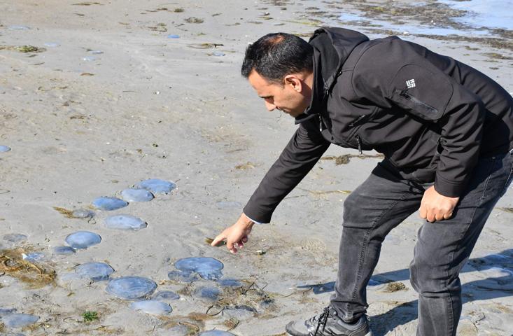 Tekirdağda deniz 25 metre çekildi