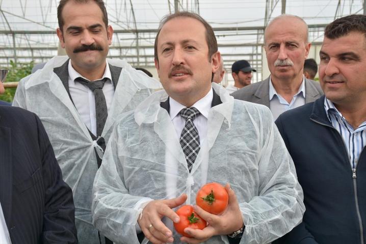 Devlet desteği ile kurdular 2 milyar dolarlık ihracat yaptılar